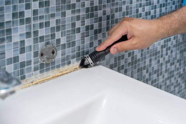 Best Residential Mold Remediation in Tellico Plains, TN